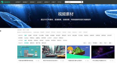 新闻爆料视频素材哪里找,揭秘新闻爆料视频素材的获取途径  第3张